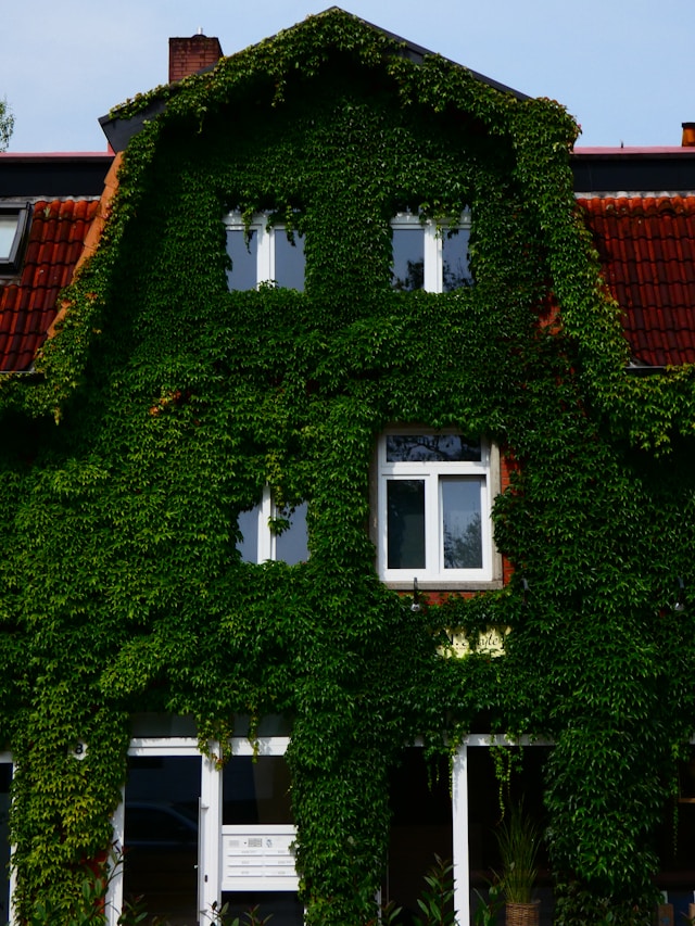 Renovacion de vivienda en curso